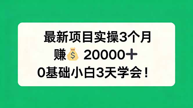 最新项目实操3个月，赚钱20000+，0基础小白3天学会！-xiaobairz