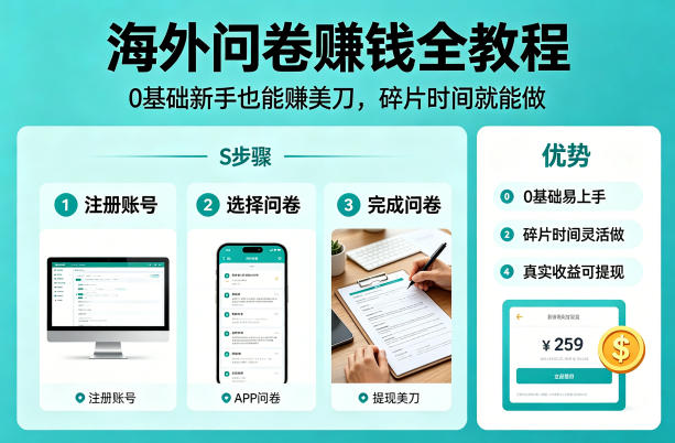 海外问卷賺钱全教程，0基础新手也能賺美刀，碎片时间就能做-xiaobairz