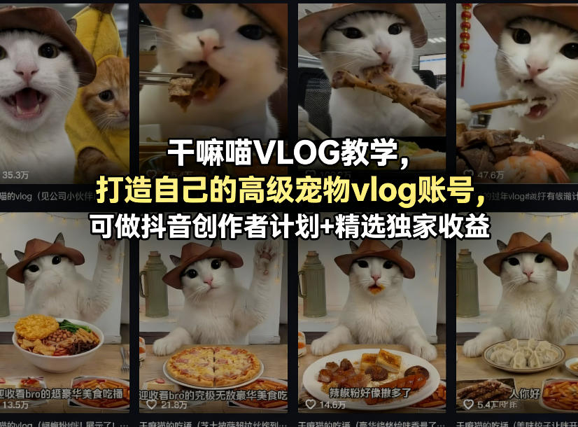 干嘛喵VLOG教学，打造自己的高级宠物vlog账号，可做抖音创作者计划+精选独家收益-xiaobairz