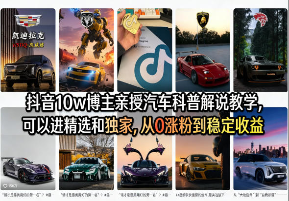 抖音10w博主亲授汽车科普解说教学，可以进精选和独家，从0涨粉到稳定收益(详细视频课程+1T素材)-xiaobairz
