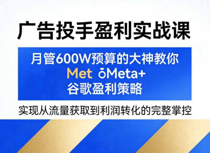 广告投手盈利实战课，月管600W预算的大神教你Meta+谷歌盈利策略，实现从流量获取到利润转化的完整掌控-xiaobairz