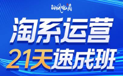 白凤电商·淘系运营21天速成班(更新4月)-xiaobairz