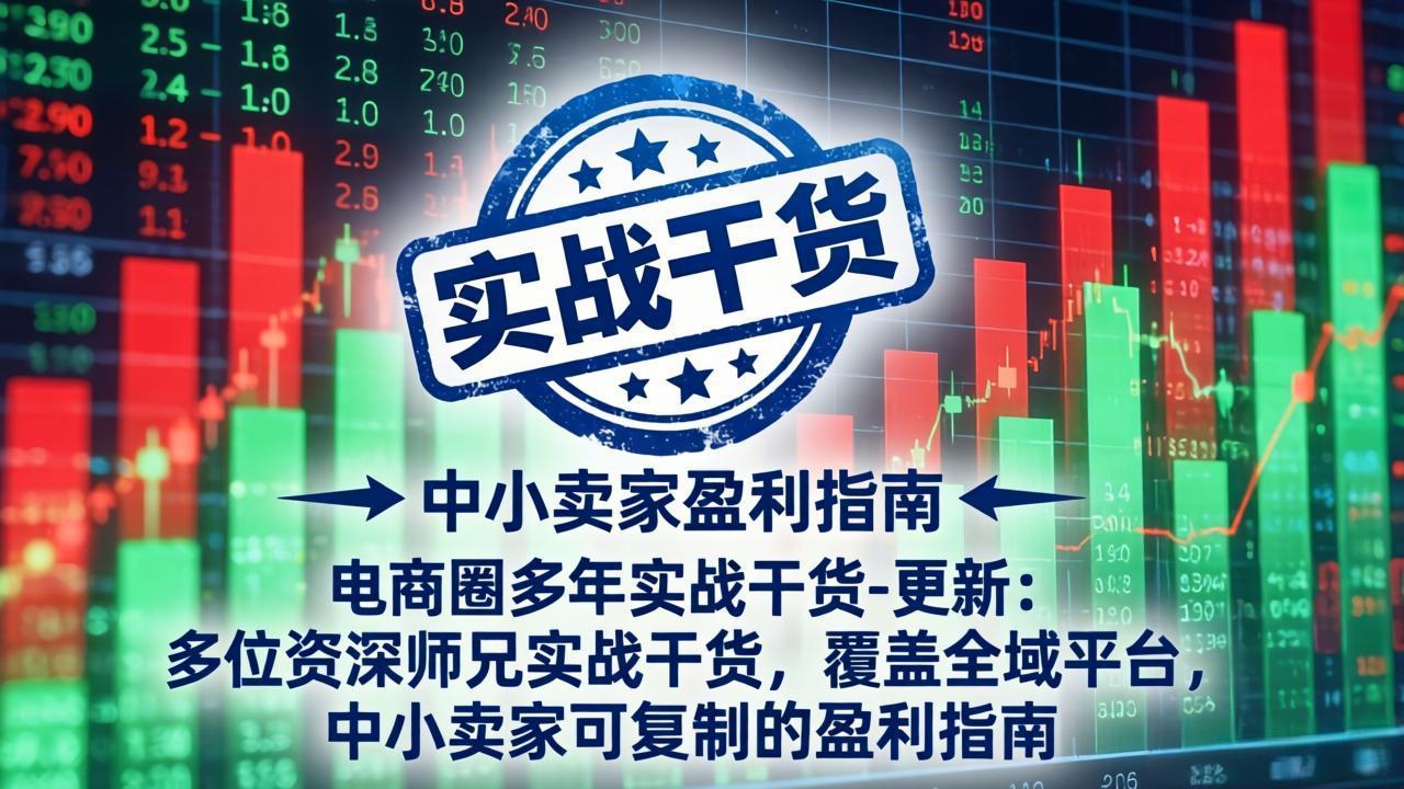 电商圈多年实战干货-更新5月10：多位资深师兄实战干货/覆盖全域平台，中小卖家可复制的盈利指南-xiaobairz