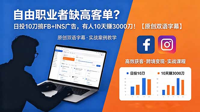 自由职业者缺高客单？日投 10 刀搞 FB+INS 广告，有人 10 天赚 3000 刀！【原创双语字幕】-xiaobairz