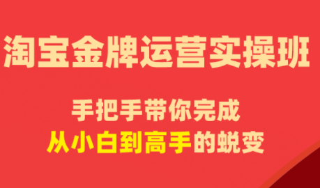 飓风电商·淘宝金牌运营实操班-xiaobairz