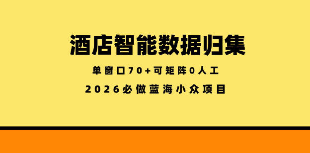 酒店智能数据归集，小众蓝海已经稳定半年之久，单窗口70+零成本矩阵开干【揭秘】-xiaobairz