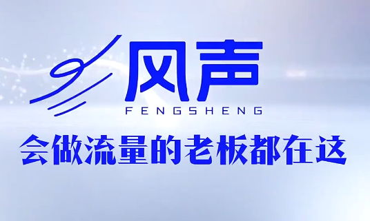 董十一·风声短视频AI获客年度会员-xiaobairz