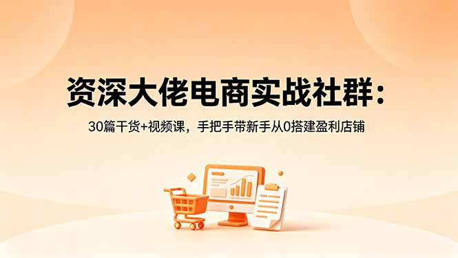 资深大佬电商实战社群：30篇干货+视频课，手把手带新手从0搭建盈利店铺-xiaobairz